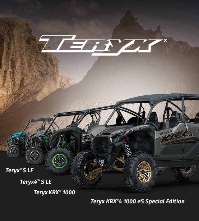 TERYX FAMILY: TERYX 4 LE TERYX KRX 1000 TERYX LE Teryx KRX®️4 1000 eS Special Edition SMALL IMAGE