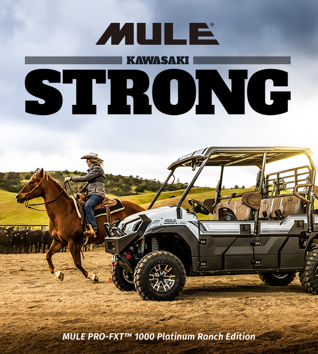 MULE FAMILY: MULE 4010 MULE PRO-FXT RANCH EDITION MULE PRO-MX EPS LE MULE PRO-MXatv EPS MULE PRO-FXR MULE SX 4X4 XC LE FI SMALL IMAGE