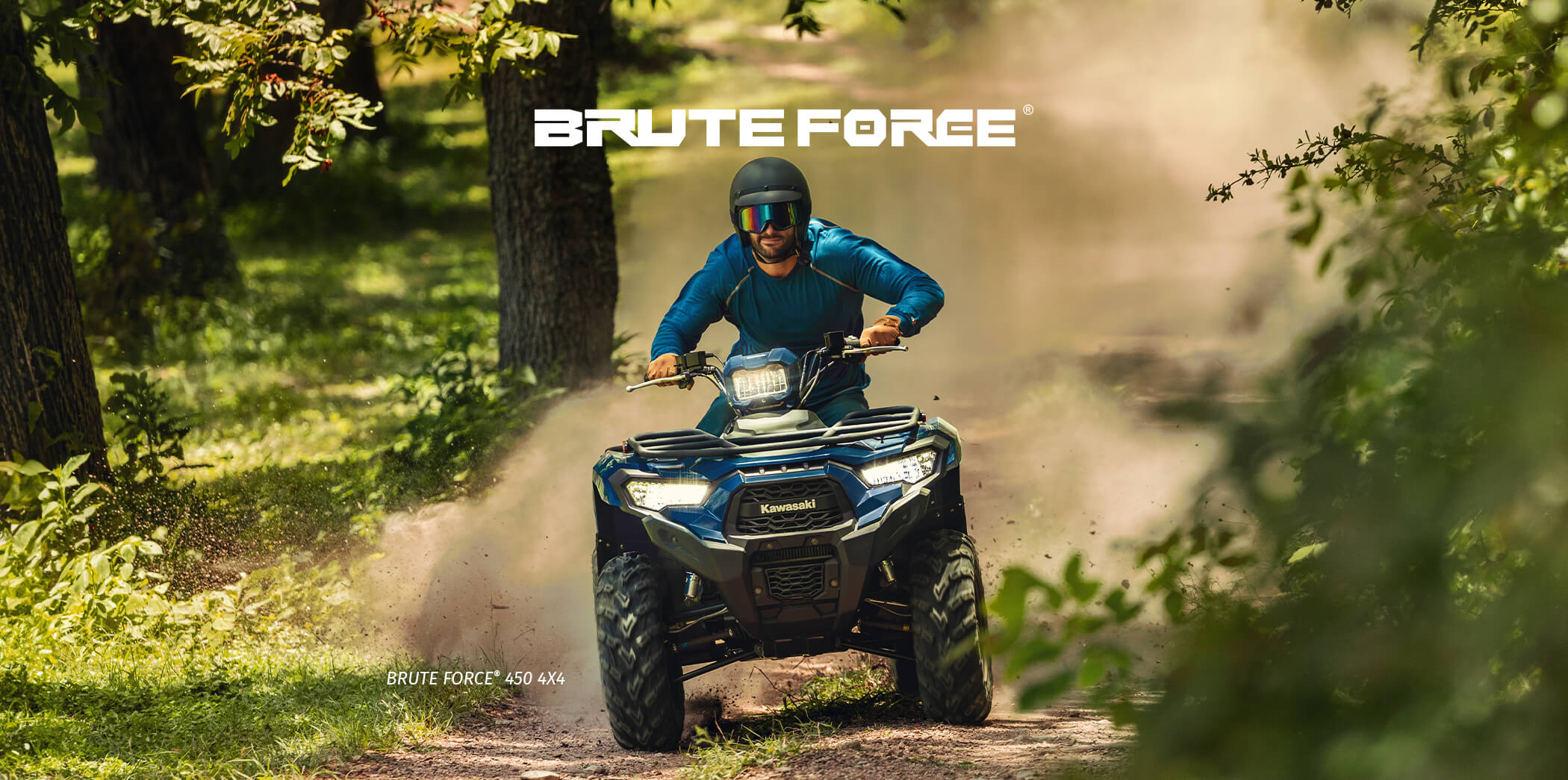 Brute Force FAMILY: 