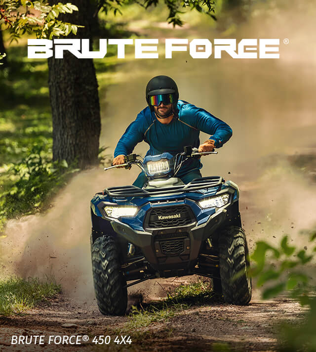 Brute Force FAMILY:  SMALL IMAGE