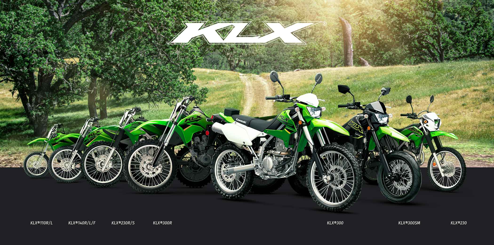 KLX FAMILY: KLX110R KLX140R KLX230R KLX300R KLX300SM KLX300 KLX250 KLX230