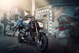 2019 Z125 Pro Z Motorcycle By Kawasaki